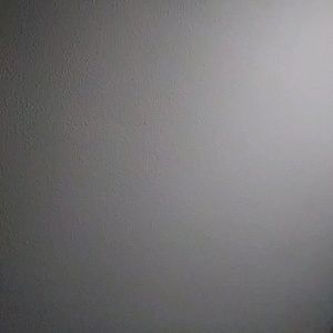 Meet your Posher, Carmen